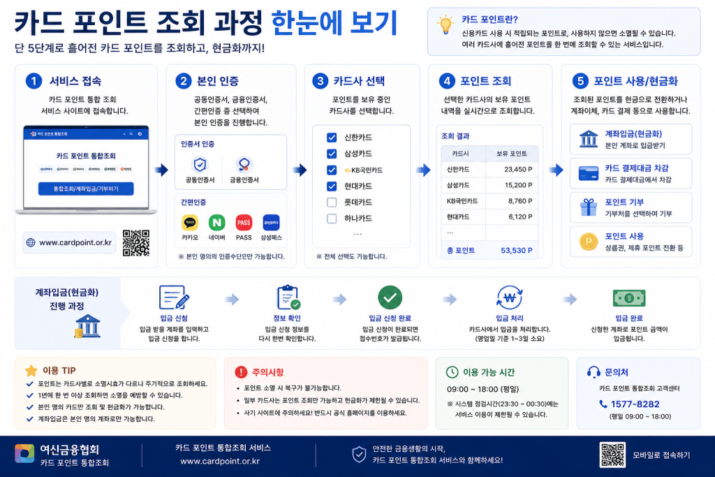 카드 포인트 조회 과정 인포그래픽