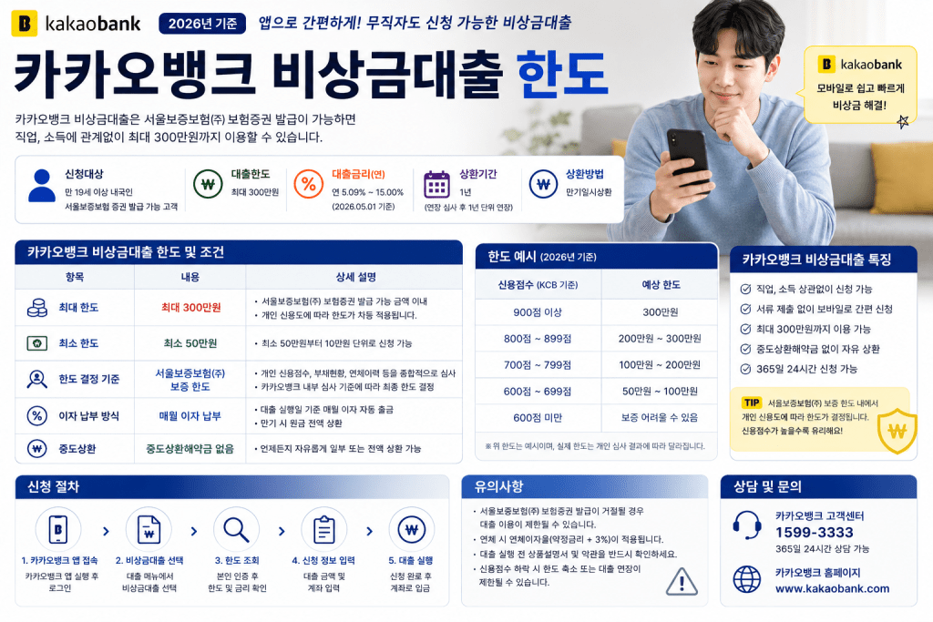 카카오뱅크 비상금대출 한도 인포그래픽